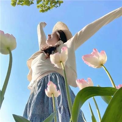 芭比与姐妹之赛马记