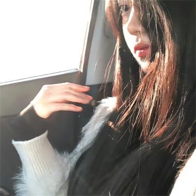 兔子镇的火狐狸